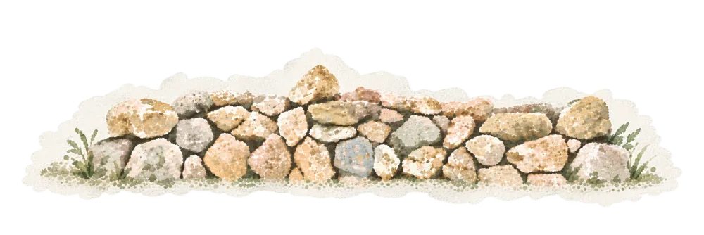 サンゴでできた石垣を描いたイラスト