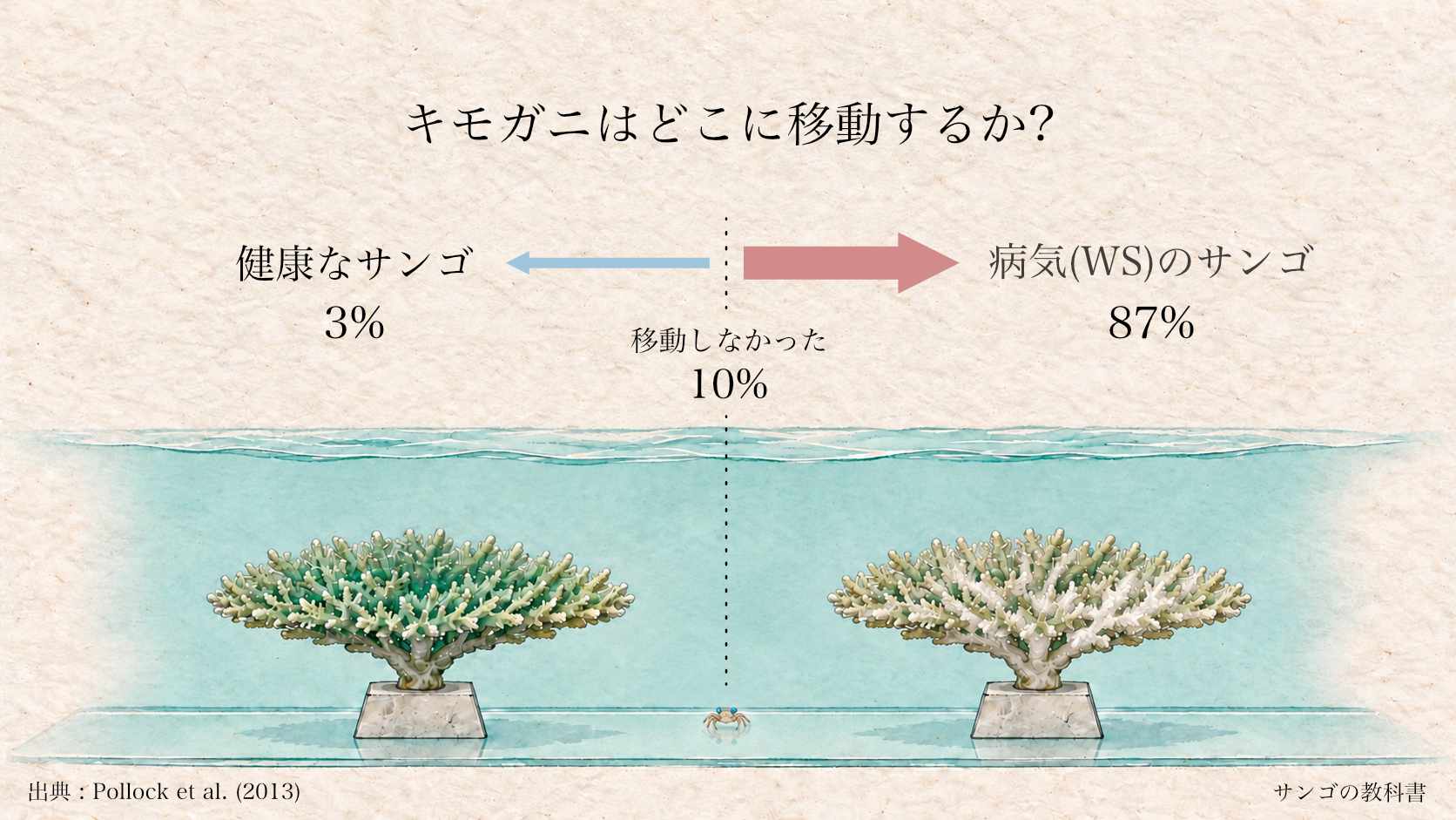 健康なサンゴとWSのサンゴの間で、キモガニが移動先を選ぶ実験の模式図。87%がWSのサンゴへ、3%が健康なサンゴへ移り、10%は移動しませんでした。