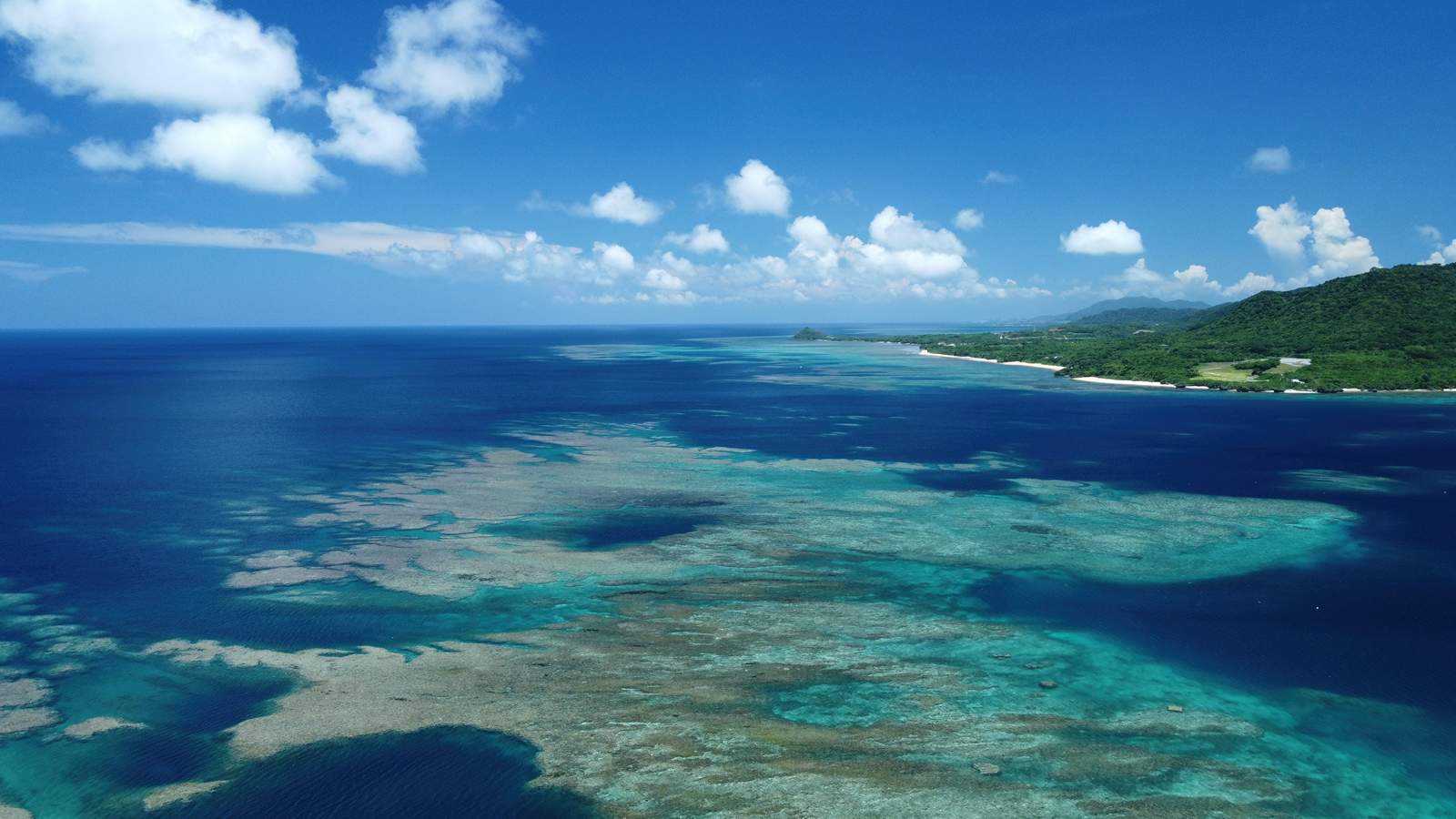 上空から見た浦底湾のサンゴ礁